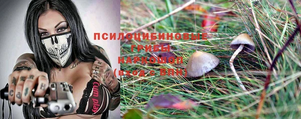 мяу мяу мука Баксан