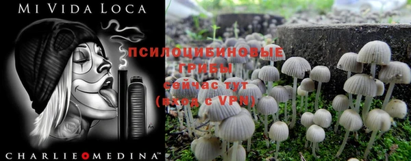 дурь Балахна