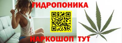 spice Балахна