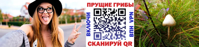 Псилоцибиновые грибы MAGIC MUSHROOMS  где можно купить наркотик  Белово 