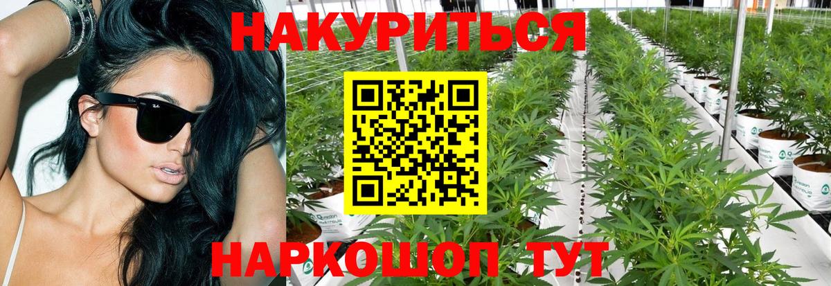 МАРИХУАНА SATIVA & INDICA Белово